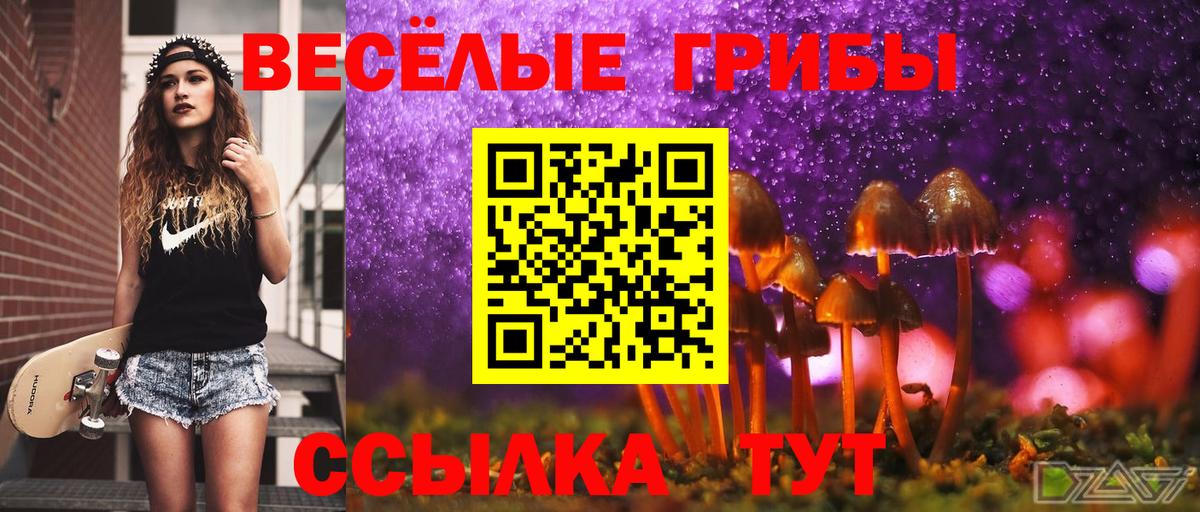 Галлюциногенные грибы Cubensis  Курган  Псилоцибиновые грибы мухоморы 