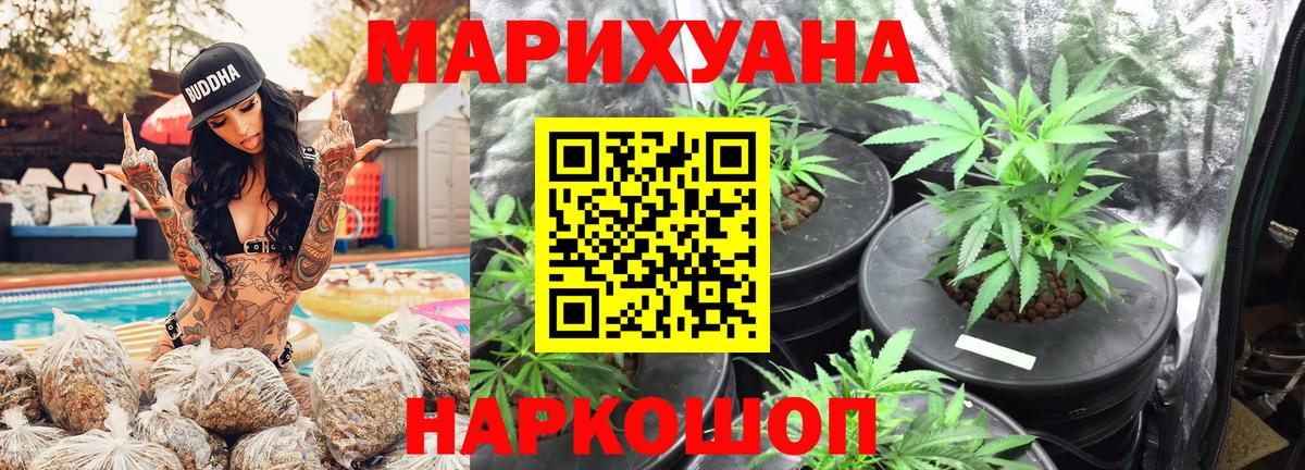 Шишки марихуана конопля  Вход с VPN  Марихуана THC 21%  МАРИХУАНА OG Kush  Курган 